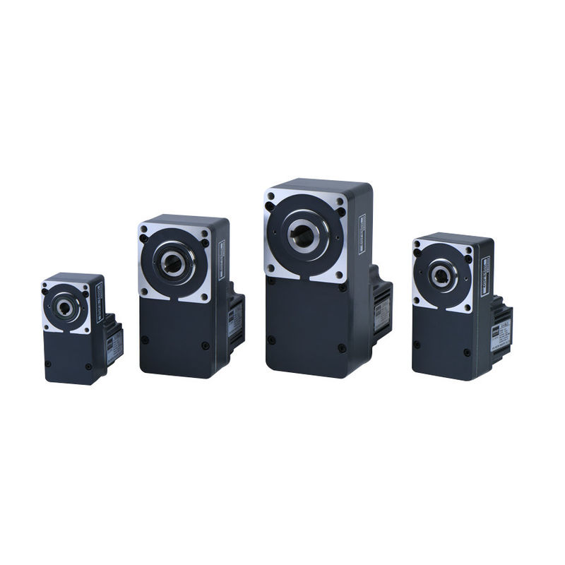 VAN 10W BLDC BRUSHLESS 2GN 3GN 4GN 5GU 6GU PARALLELLE AANGEPASTE MOTOR VAN DE DE RECHTE HOEKworm VAN DE HET TOESTELmotor 12V 24V 1800RPM 3000RPM GELIJKSTROOM GPG