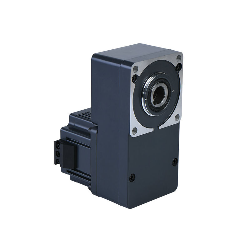 VAN 10W BLDC BRUSHLESS 2GN 3GN 4GN 5GU 6GU PARALLELLE AANGEPASTE MOTOR VAN DE DE RECHTE HOEKworm VAN DE HET TOESTELmotor 12V 24V 1800RPM 3000RPM GELIJKSTROOM GPG
